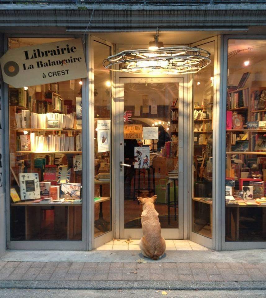 Librairie la Balançoire