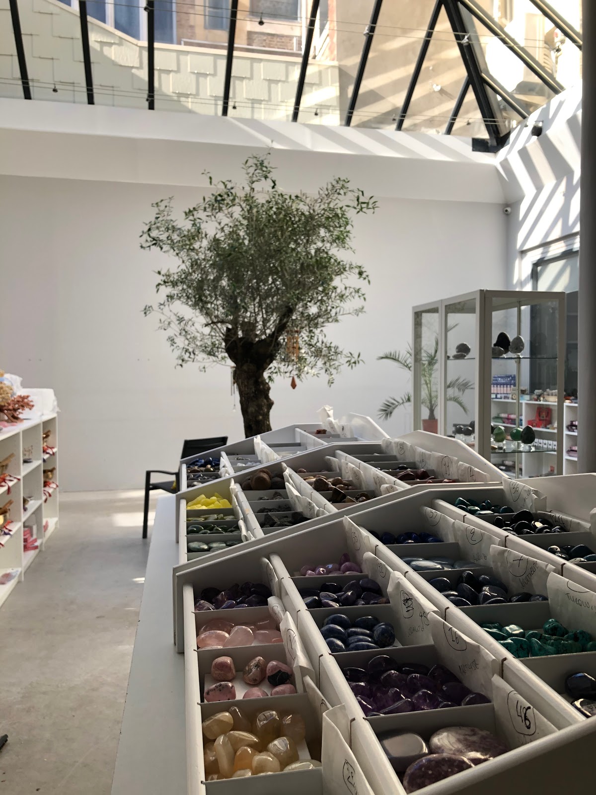 L'Arbor et Sens