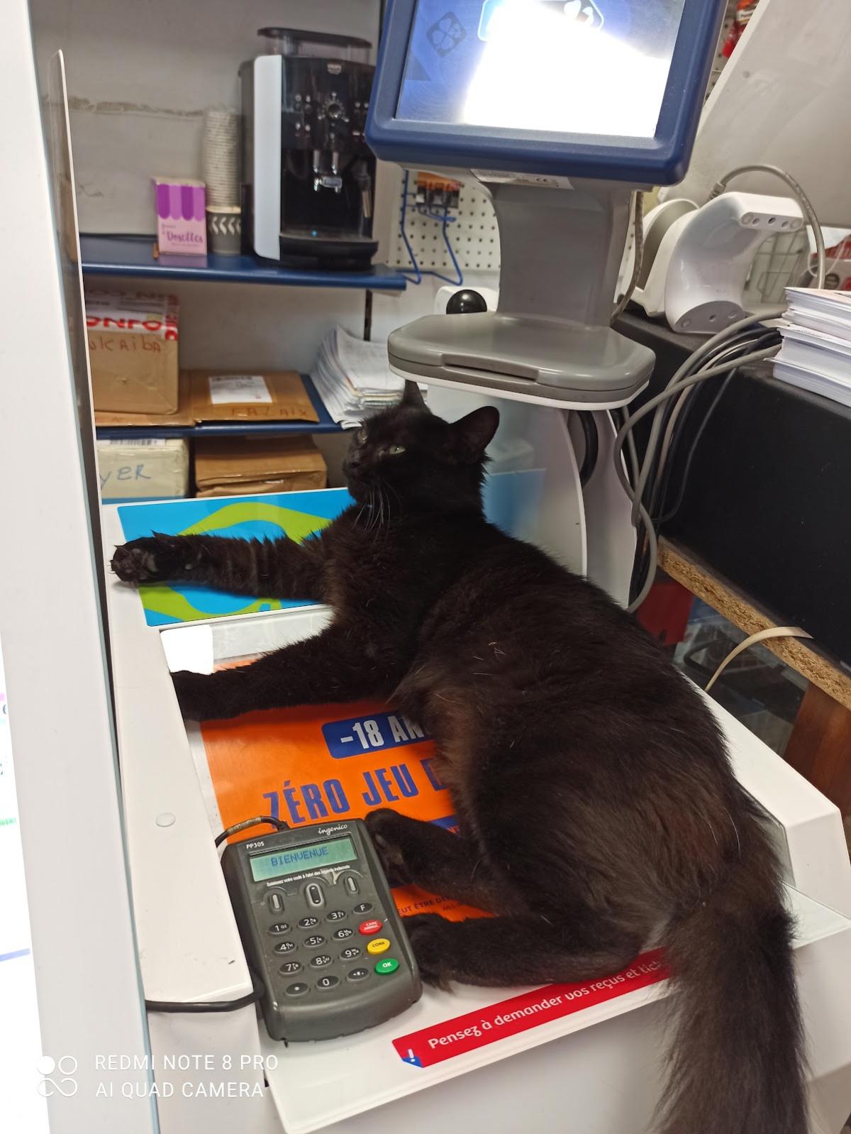 Librairie du Plateau