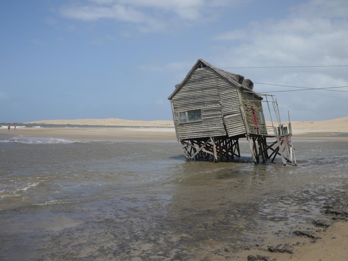 Librairie Le Bleu du Ciel