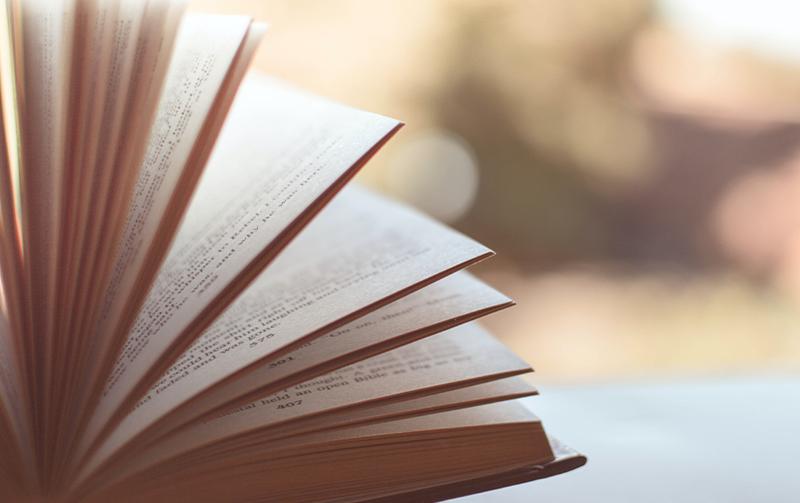 Librairie La Rose des Vents