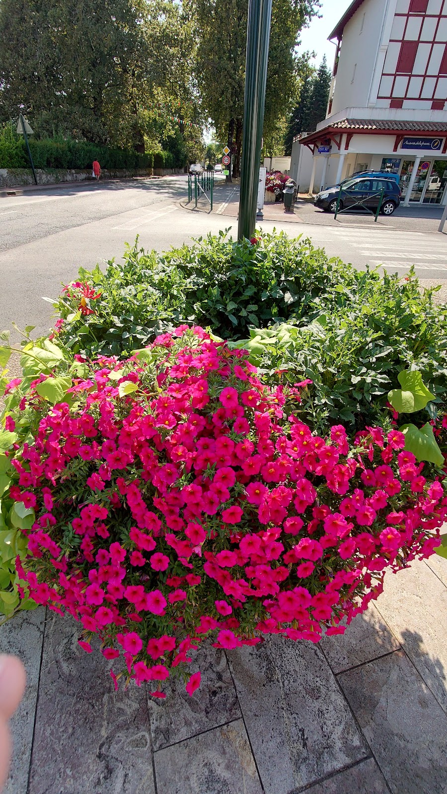 Maison du LIVRE et de la presse de Cambo-les-Bains