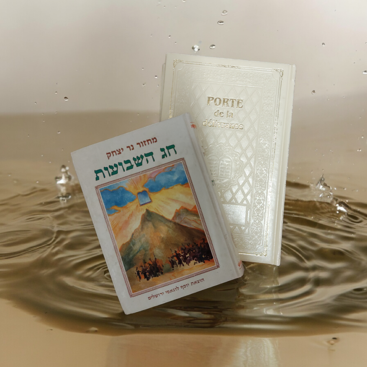 librairie du cedrat / STRASJUDAICA / Shne or. Librairie juive Strasbourg