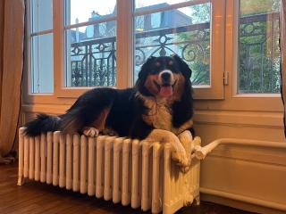 Librairie KAZAMANGA - Librairie Manga 1