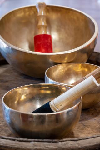 Librairie Tendance Ecolo 0