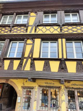 Librairie L'Oiseau Rare 0