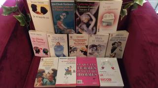 Librairie La Fée des livres 0