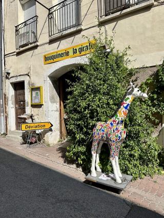 Librairie Bouquinerie La Girafe 0