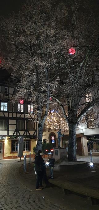 Librairie Librairie Gutenberg 0