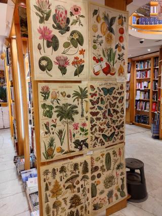 Librairie Librairie Kléber 2