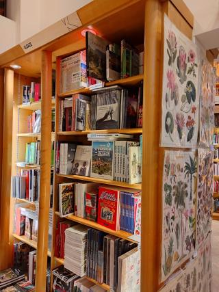 Librairie Librairie Kléber 0