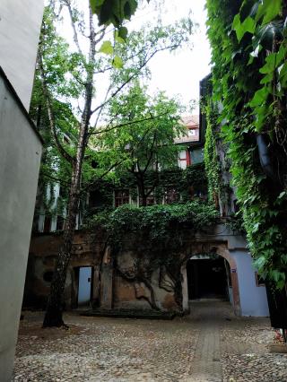 Librairie Librairie de L'Amateur 0