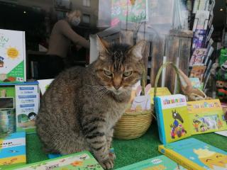 Librairie Aux Mots Tordus 0