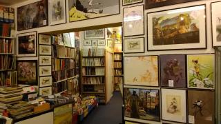 Librairie BD Collections 1