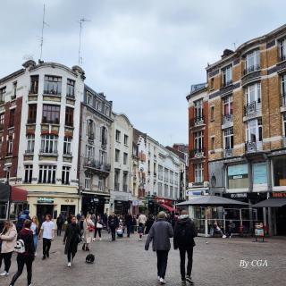 Librairie BD Collections 0