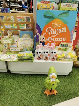 Librairie E.Leclerc Espace Culturel 0