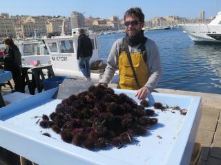 Librairie Librairie des Arcenaulx Jeanne Laffitte 1