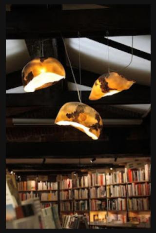 Librairie Librairie Terra Nova 0