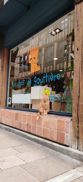 Librairie Le chat de gouttière TROYES 0