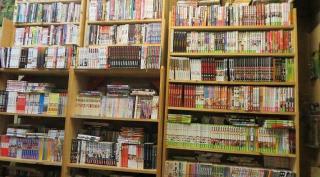 Librairie La Boutique Du Collectionneur - Mangas - BDs - Vinyles - Figurines 0
