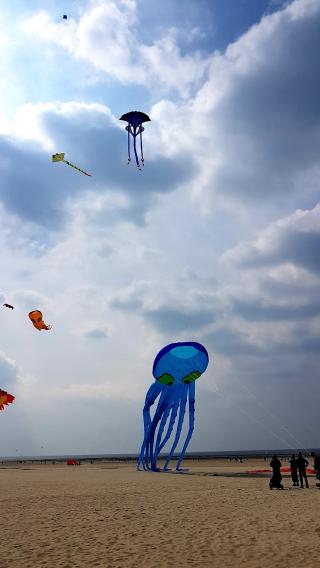 Librairie Maison de la Presse 2