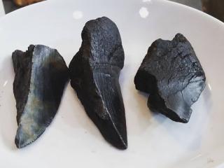 Librairie Griffondor - Creajaime 0