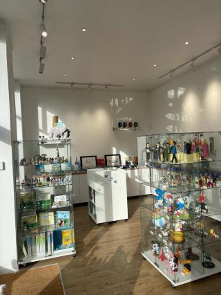 Librairie Collections Et Vous : La Place des Bulles 0