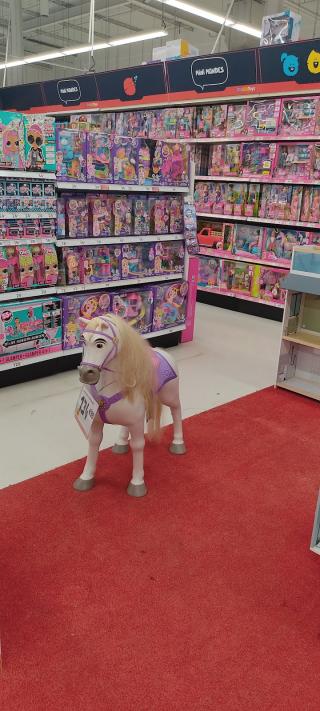 Librairie Smyths Toys Dijon 0