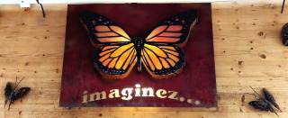 Librairie Librairie Imaginez ... 2