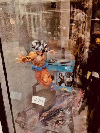 Librairie Librairie L'Intrépide 0