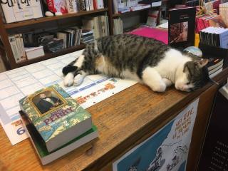 Librairie Graffiti 0