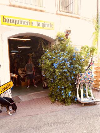 Librairie Bouquinerie La Girafe 0