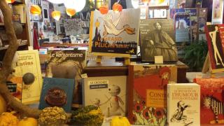 Librairie Les Champs Magnétiques 0