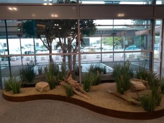 Librairie Super U et Drive 2