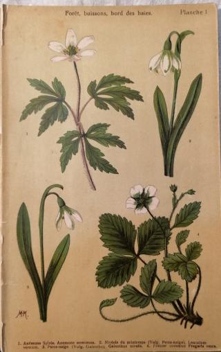 Librairie Librairie Hermès 0