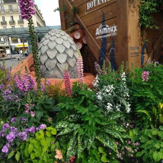 Librairie FNAC Angers 0