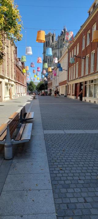 Librairie L'IMPRIMERIE - Librairie - Galerie - Achat livres anciens et modernes et tableaux toute époque. 0