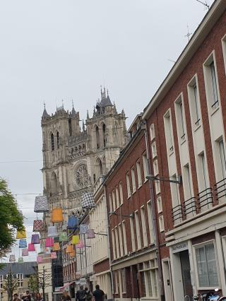Librairie L'IMPRIMERIE - Librairie - Galerie - Achat livres anciens et modernes et tableaux toute époque. 0
