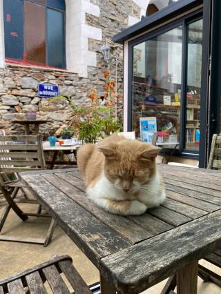 Librairie Librairie-Café Trait D'Union 0