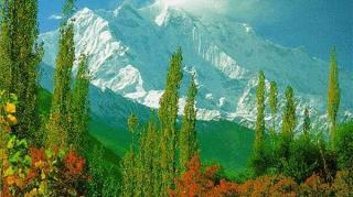 Librairie Seenopsix 0