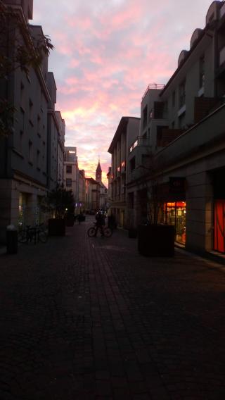 Librairie Littéra 0