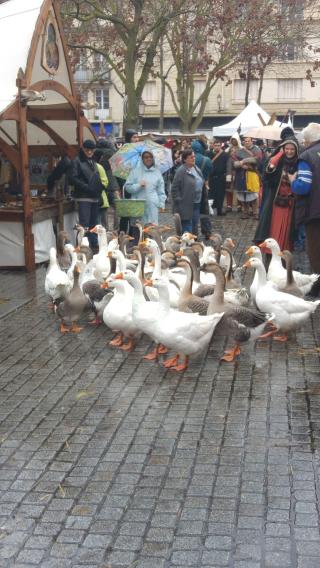 Librairie Librairie Papeterie Tonnenx 0