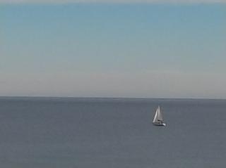 Librairie Le Miramar 1