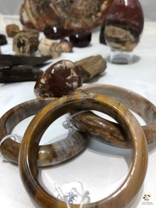 Librairie L' Abeille Boutique - Les 5 éléments 0