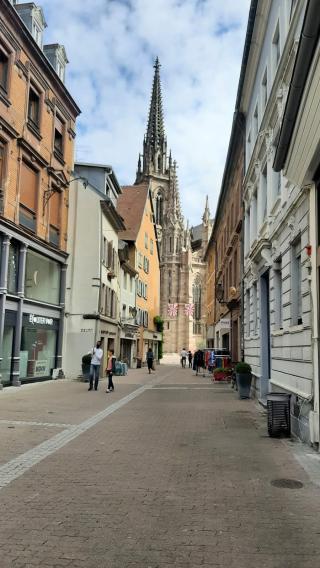 Librairie Librairie Littéra - Rougier & Plé 0