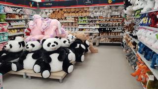 Librairie Smyths Toys Mulhouse 0