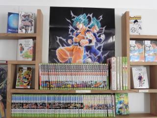Librairie La Capsule 2