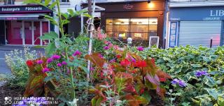 Librairie Librairie Pasteur 0