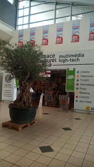 Librairie E.Leclerc Espace Culturel 0