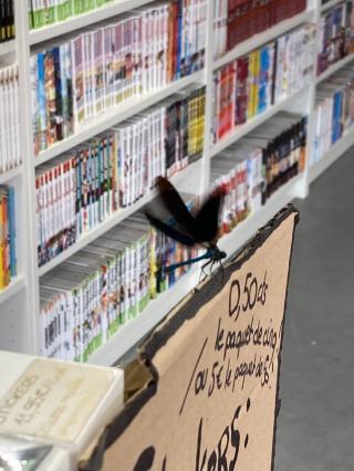 Librairie Kokoro no Manga & Games 0